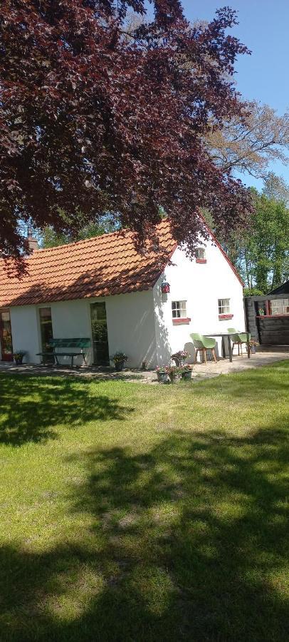 Vakantiewoning 'T Bakhuus Bergentheim Kültér fotó